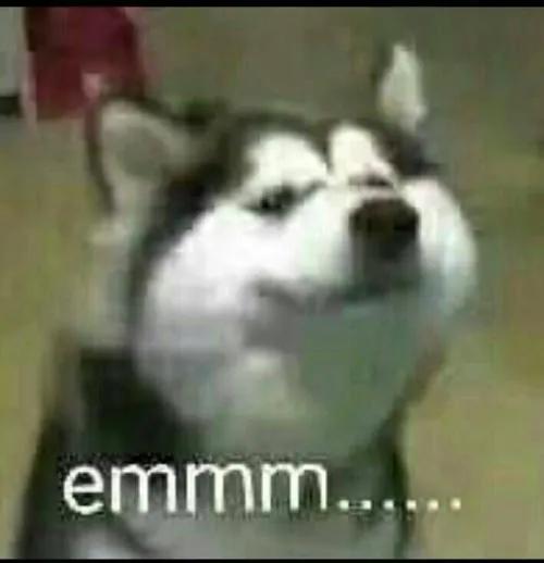 独自一人去爬山路线图,独自一人去爬山注意事项