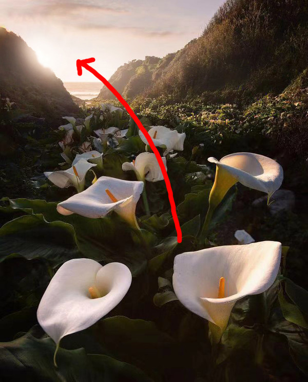 秘籍----移日*法大**