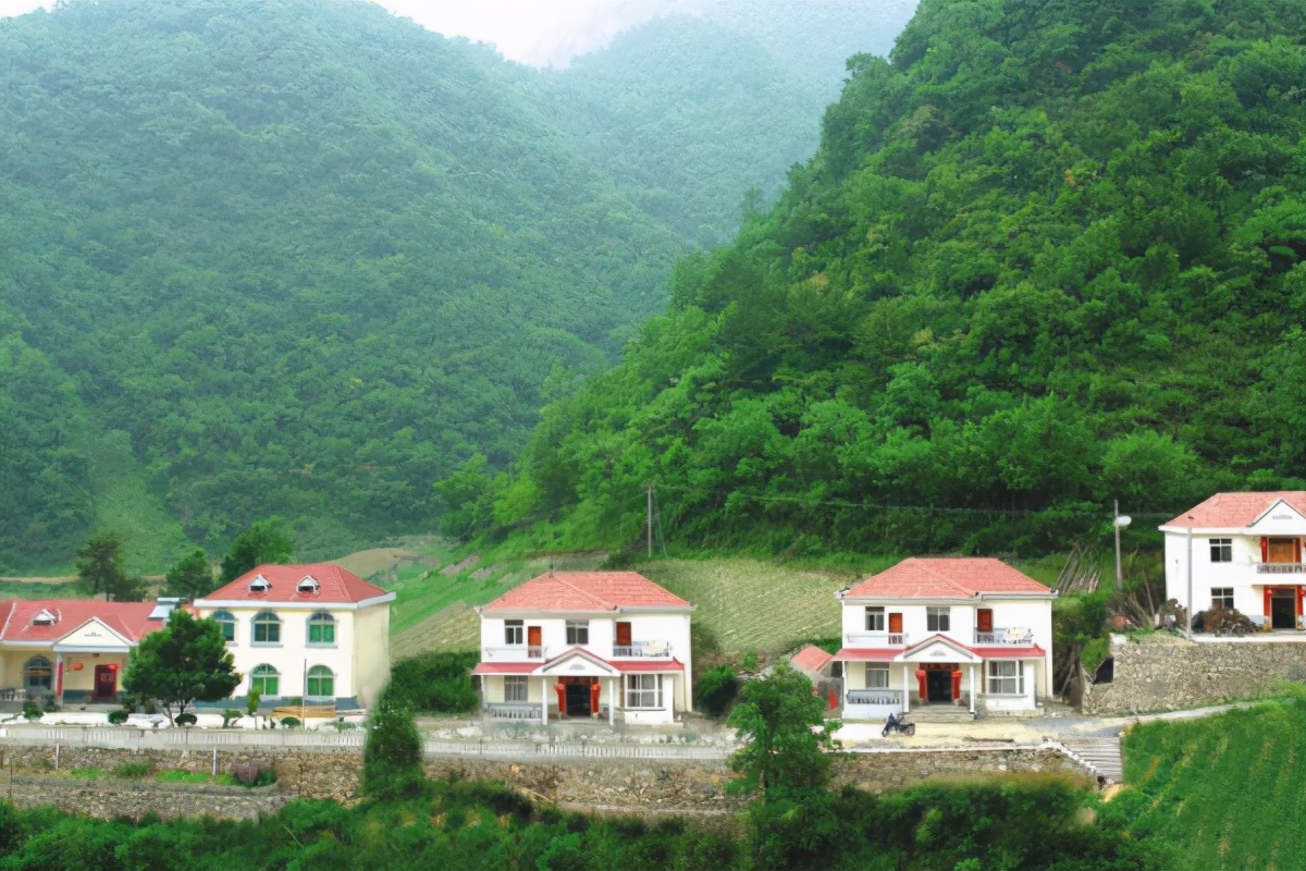 湖北综合实力第一村,湖北省十大富裕村