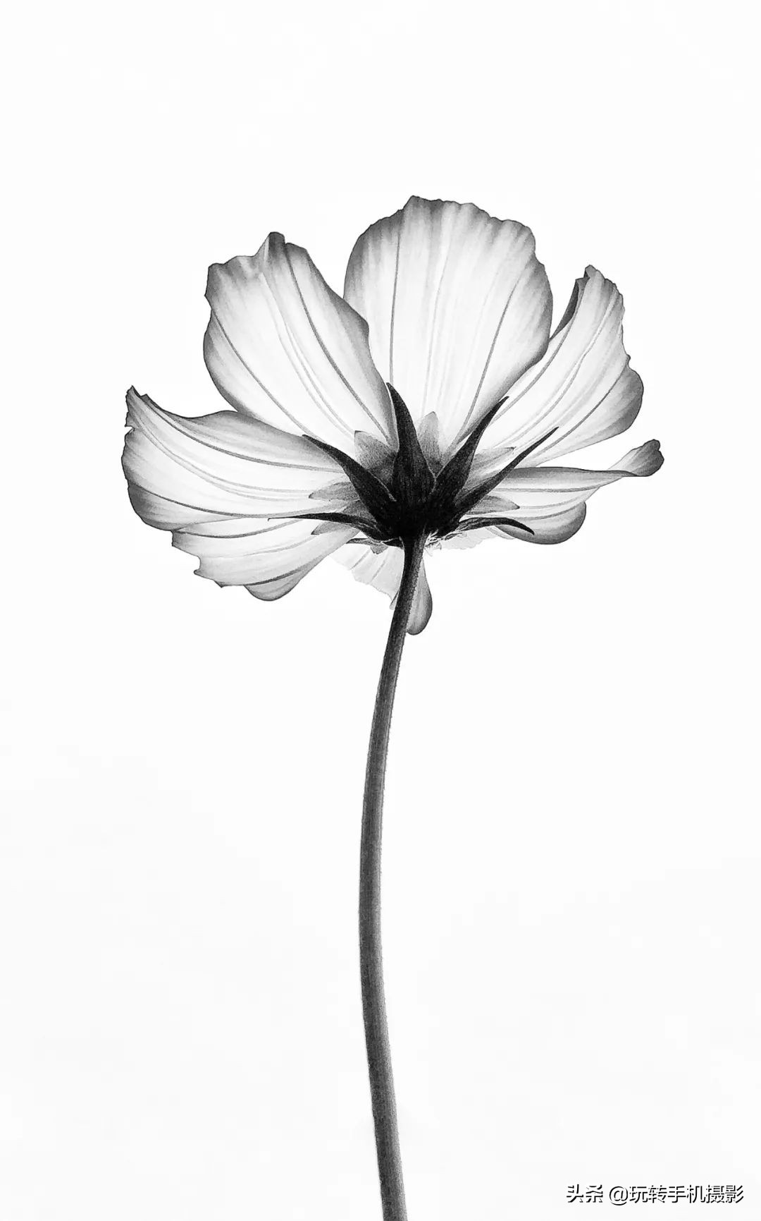 千元机拍照技巧对比,千元机有没有拍照好的