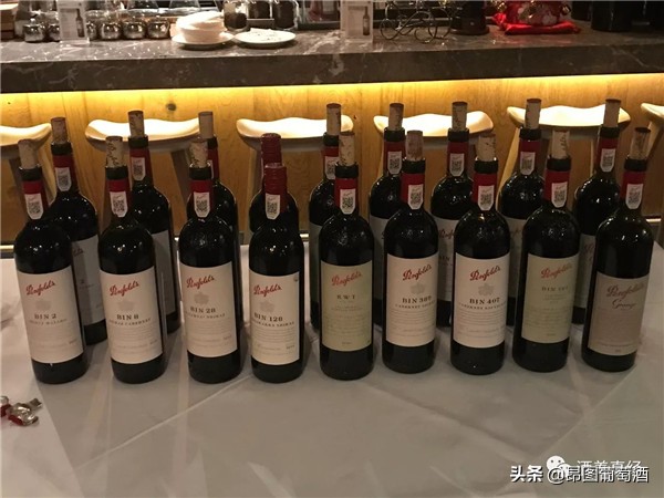 奔富系列酒推荐,奔富penfoldsbin600赤霞珠红葡萄酒
