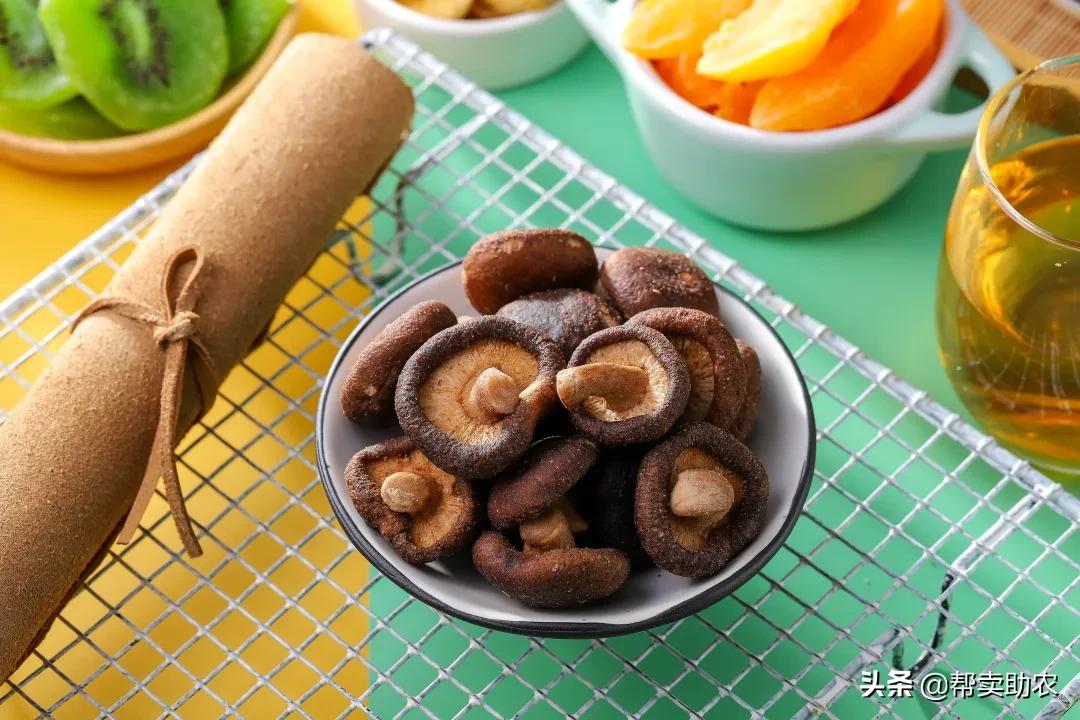 帮你扔掉垃圾食品！健康营养的综合果蔬脆，12种口味征服你味蕾