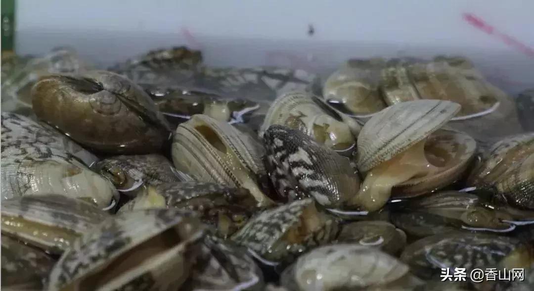 珠海南屏海鲜攻略值得推荐,珠海南屏吃海鲜的地方