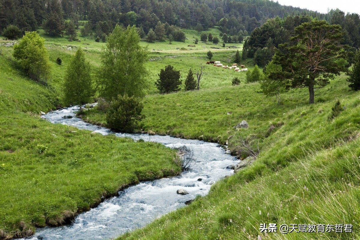 父母歇斯底里对孩子有什么后果,孩子歇斯底里的吼叫父母该怎么办