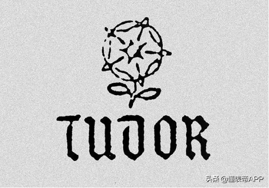 品牌历史丨玫瑰传奇——帝陀