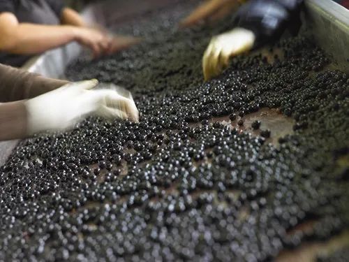 半甜型葡萄酒酿造过程,欧洲葡萄酒的酿造过程