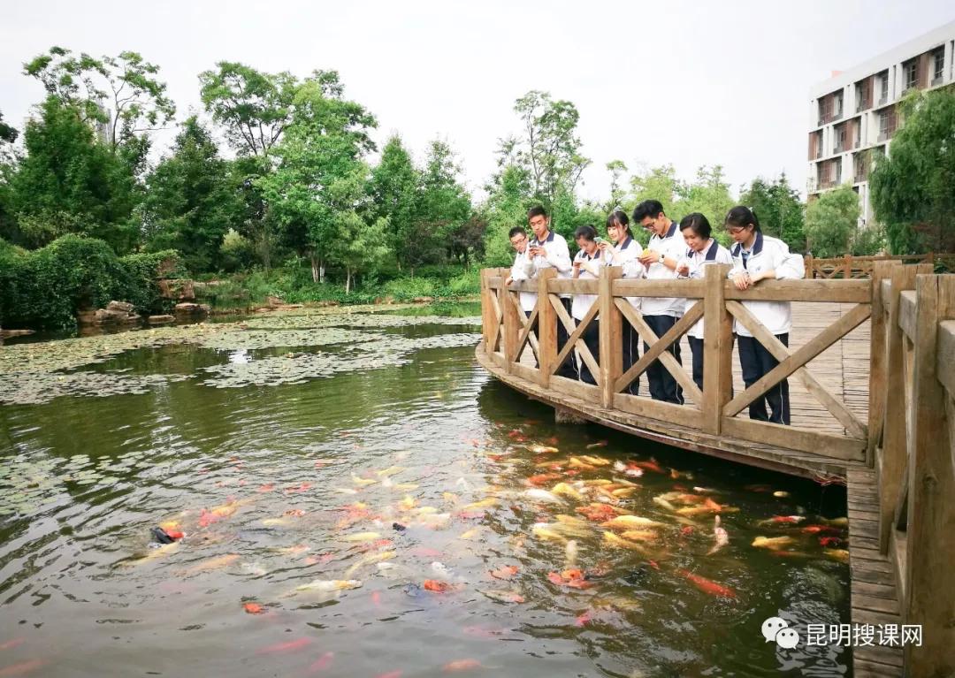 昆明第十中学白塔校区初一,昆明中学实力排名前十名