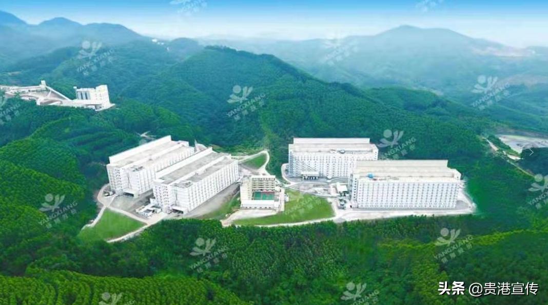 贵港市知名企业排名,贵港市500强企业排名