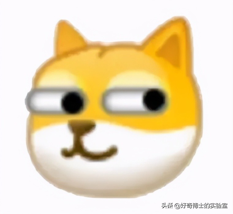 有哪些可以快速提升身材的小技巧,如何提升身材管理