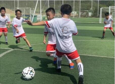 铂烽体育呼吁助力武术入奥推动中阿文化融合发展