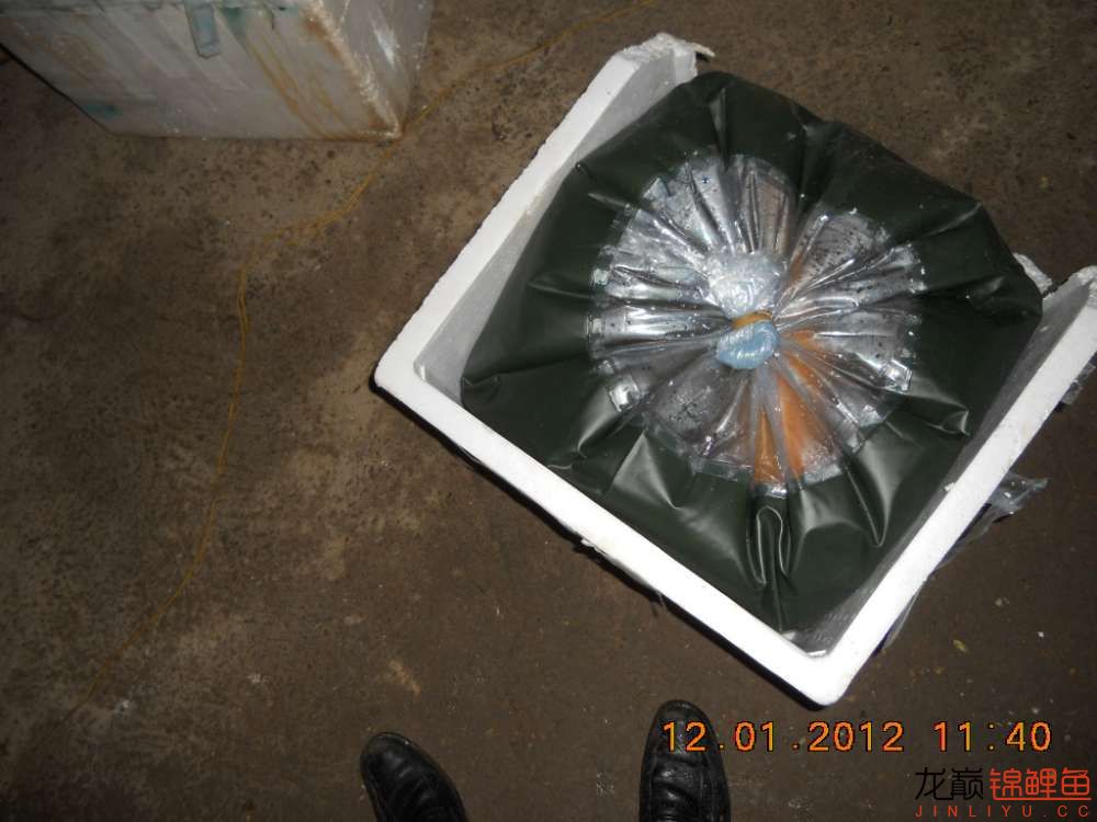 开渔场赚钱吗,开渔场需要多少资金