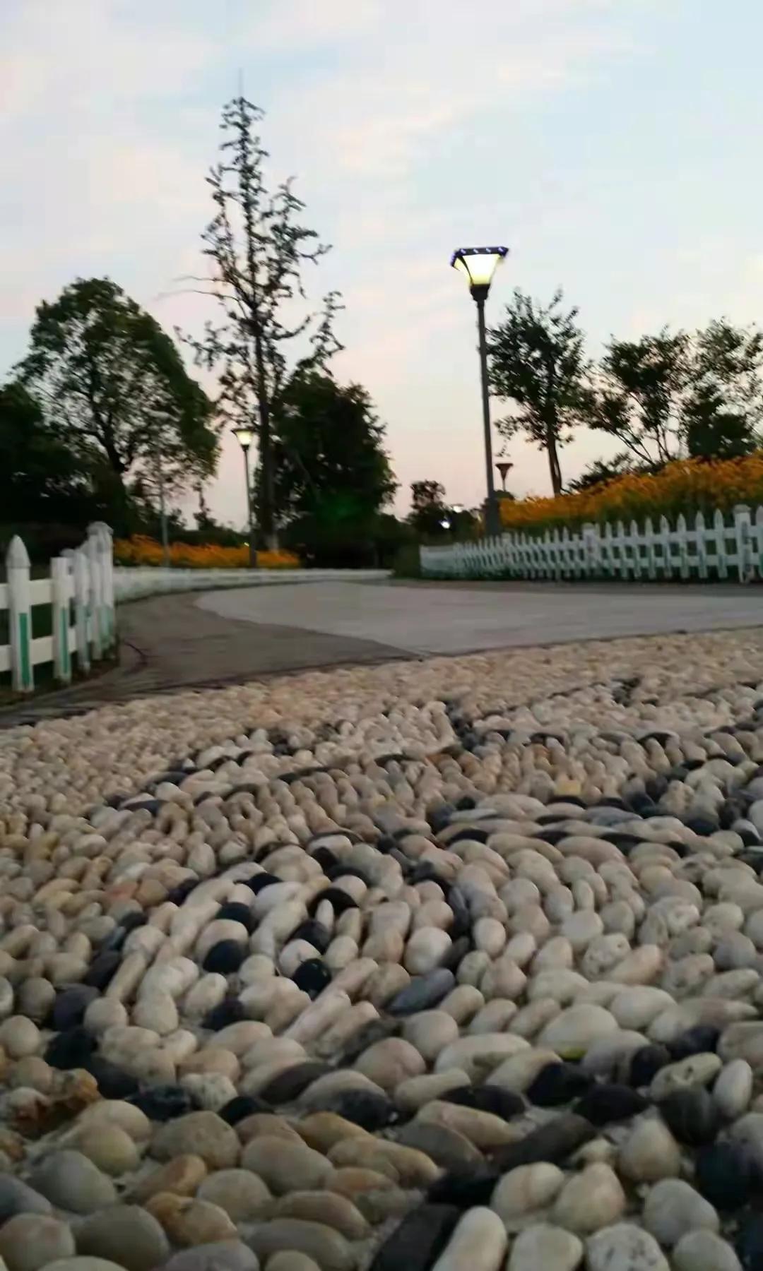 徐州艺术馆有什么,徐州老艺术馆