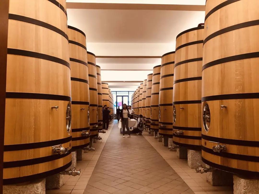 宁夏葡萄酒贺兰山东麓怎么样,宁夏干红葡萄酒哪个品牌最好