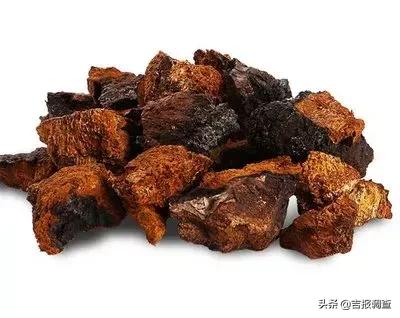 梦幻蘑菇要不要吃,蘑菇外表美丽但是有毒