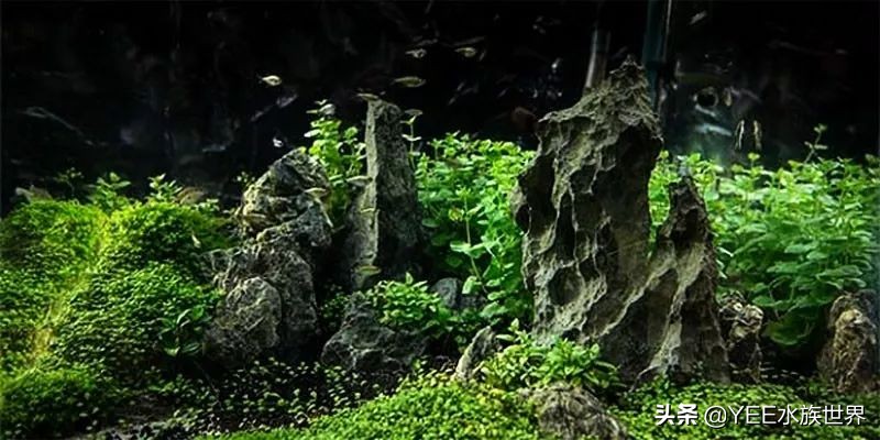 买水泵前需要注意什么问题,买水泵注意事项有哪些