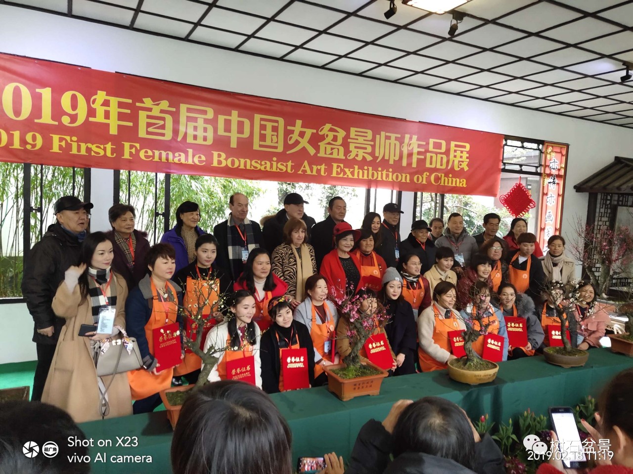 金艳盆景精品欣赏,幸得一知己