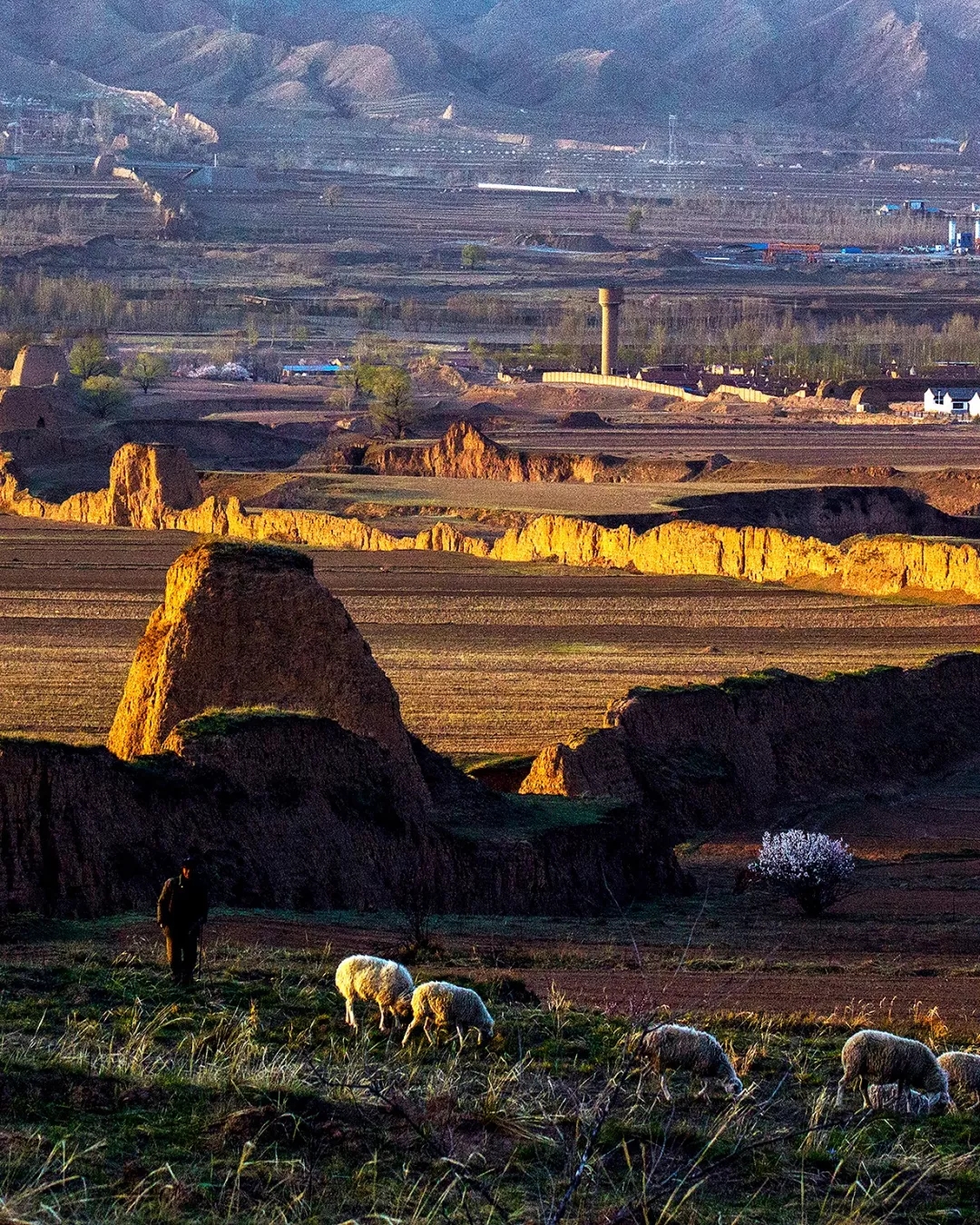 雁门关最简单古诗,雁门关古诗的意思是什么