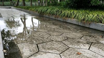 巅峰极速最高时速135的车有哪些,乐行天下v14adventure平衡车