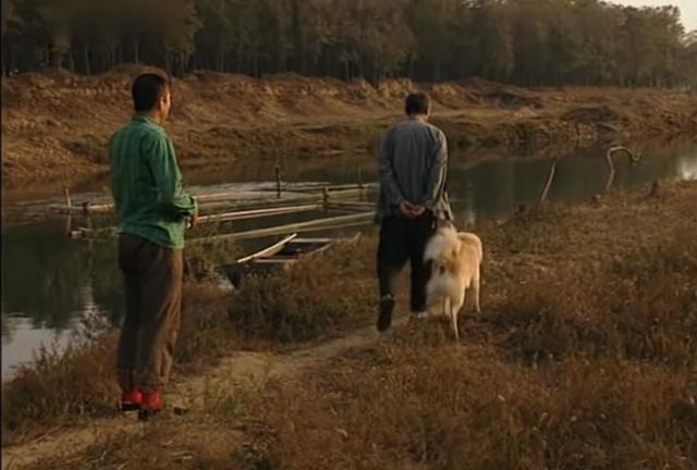 篱笆女人和狗都有哪些人唱过,篱笆女人和狗好看吗