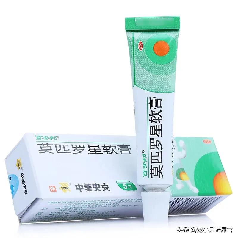 猫咪的下巴脏怎么处理,猫咪的下巴怎么清洁