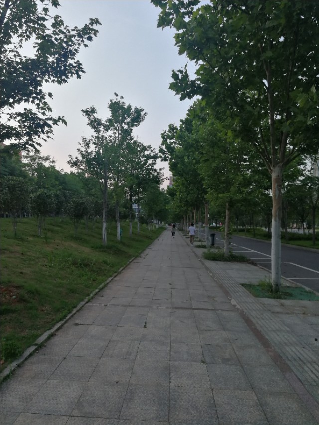 庚子律诗100首,庚子杂咏时间