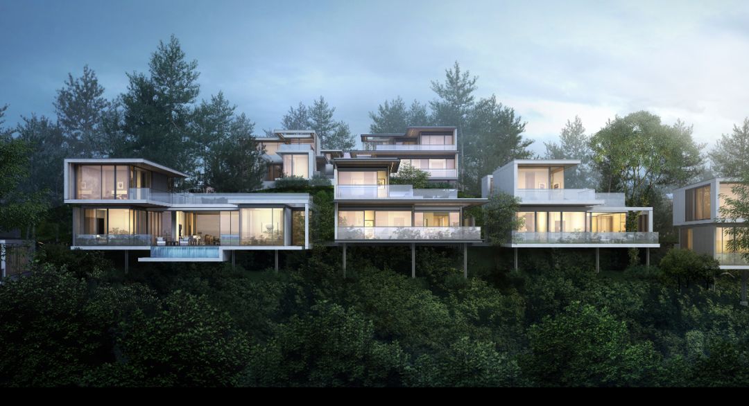 绿城桃花源的特点,绿城桃花源未来山