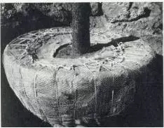 大树移植机视频大全,大树移植的正确方法