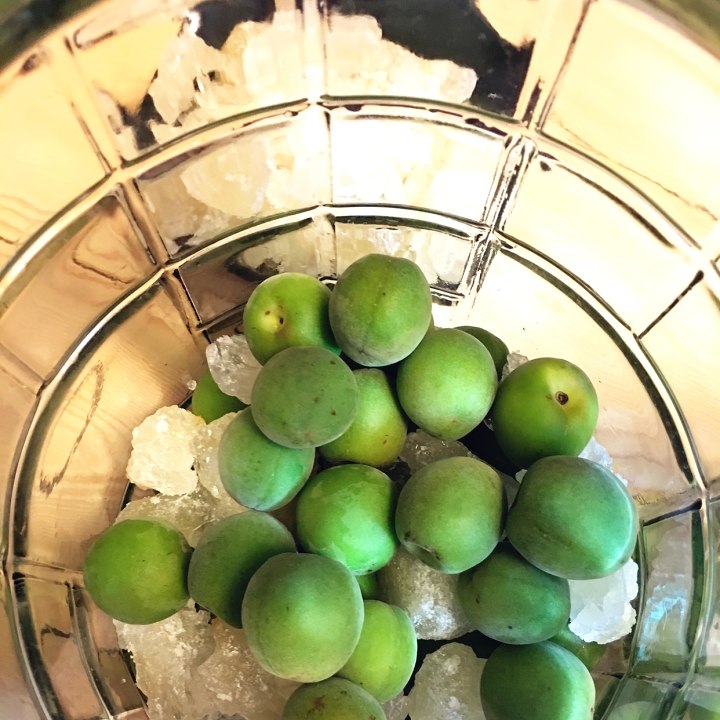 青梅酒怎么泡制的好喝又简单,四月份泡青梅酒的方法