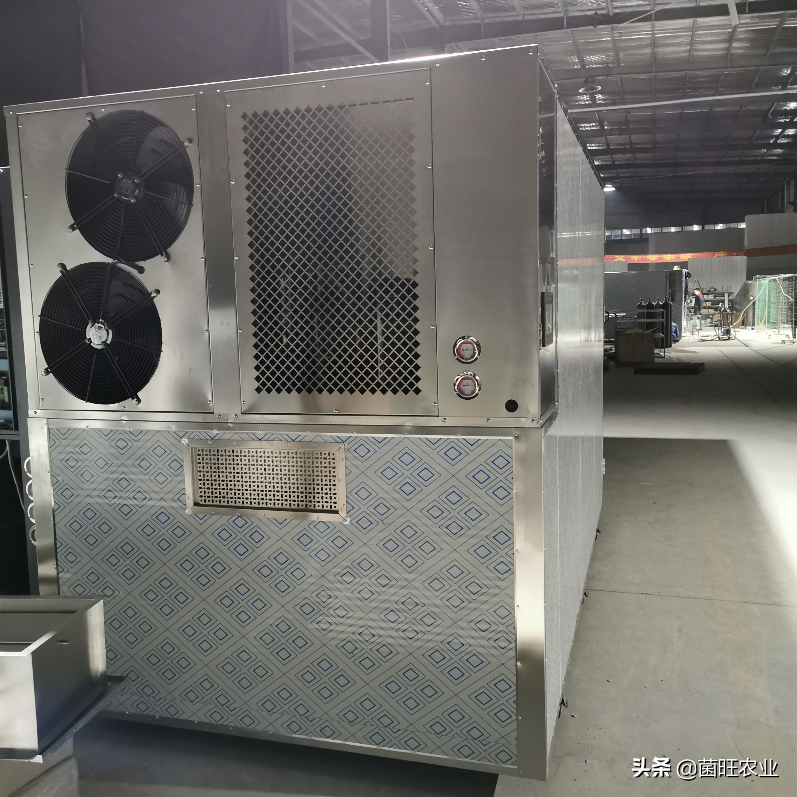 红壳笋干和毛竹笋干,竹笋干怎么吃功效与作用