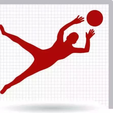 世界杯举办权国际足联,世界杯终极大战