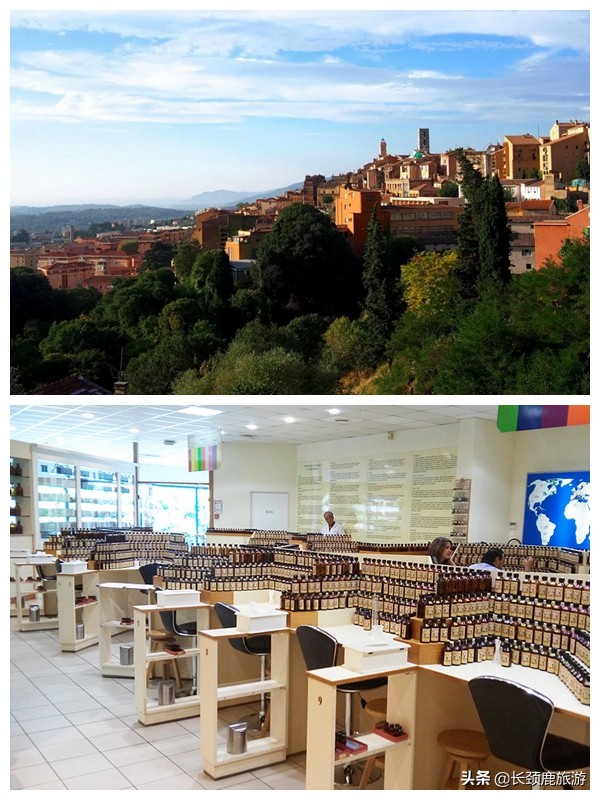 春节浪漫情人节,情人节调香师