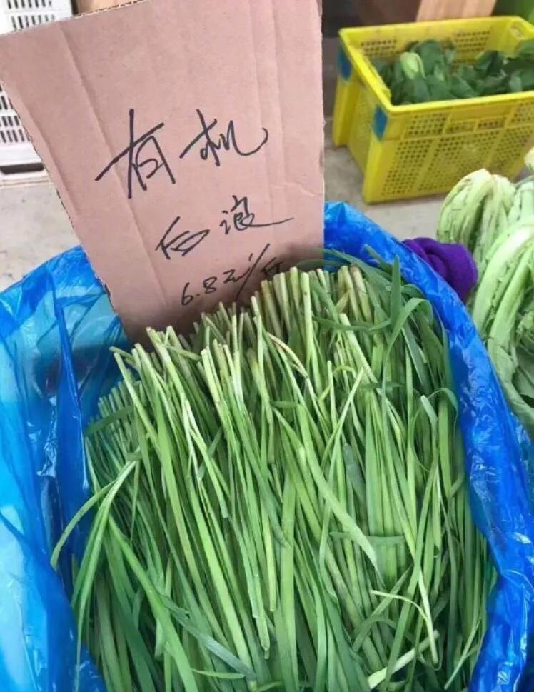 俄罗斯金刚芭比娜塔莉 (俄罗斯金刚芭比肌肉爆裂)