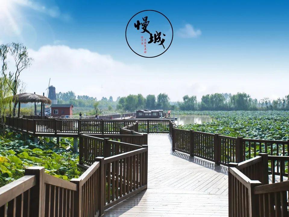 淄博文旅logo设计思路,淄博文旅征集淄博烧烤标志