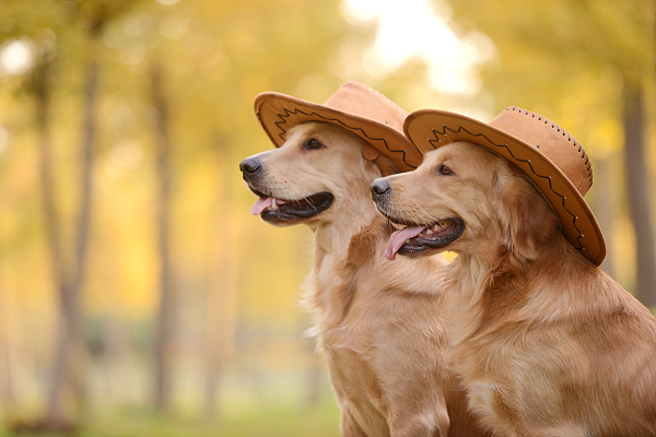 脑筋急转弯快来测测你的智力吧,脑筋急转弯来测测多少人一次答对