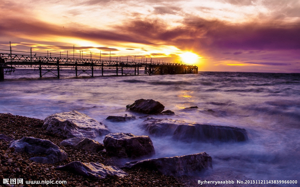 你知道蜻蜓为什么会飞吗？爱情必须轻，轻到可以在空气起舞