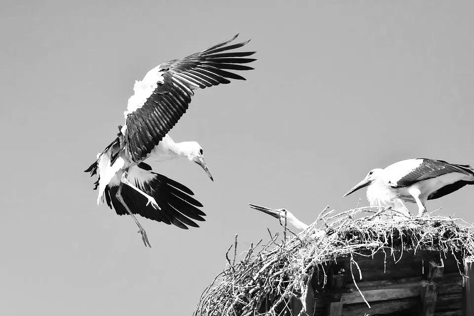 聚划算扣费查询,聚划算加权重吗