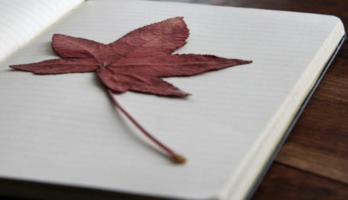 论文参考文献格式一键搞定,参考文献学位论文格式