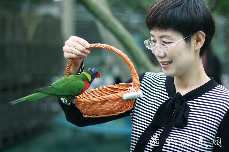 百万葵园有多坑,百万葵园免门票