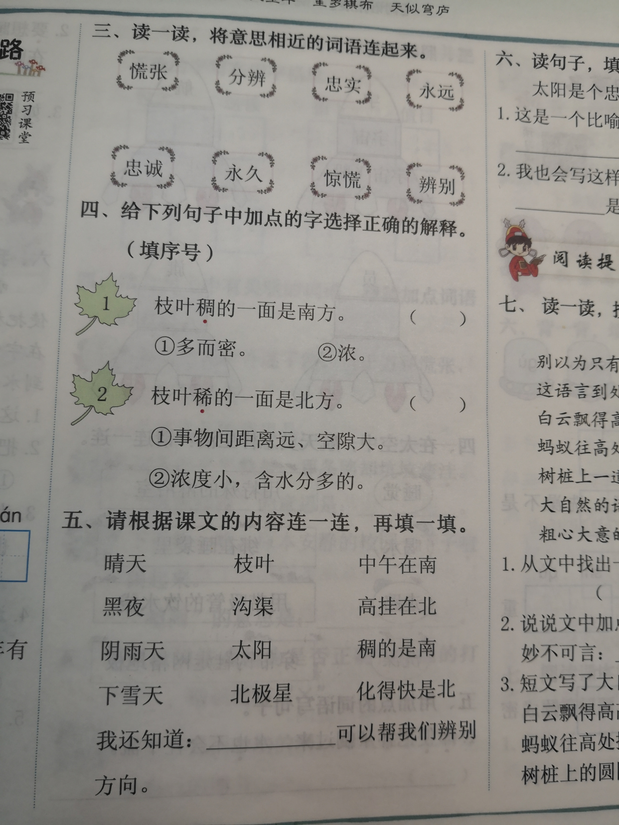 学好17课《要是你在野外迷了路》，知道什么是“天然指南针”