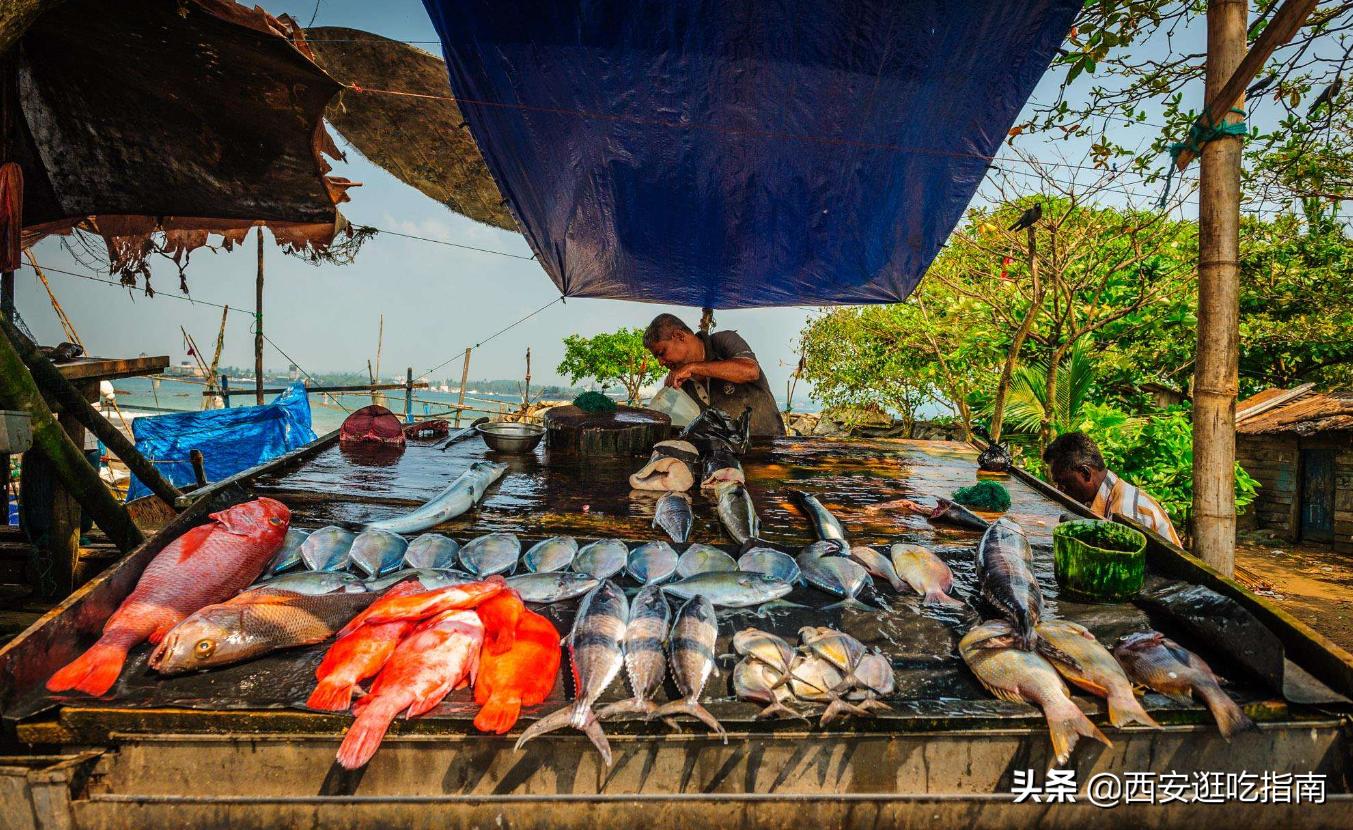 常吃的海鱼有哪几种,吃的最常见的几种海鱼