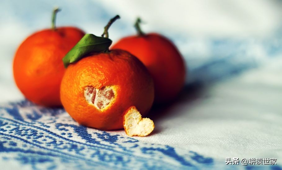 暖心的句子,冬天温暖的句子