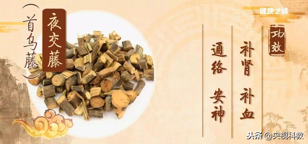 通经络的植物有哪些,绿植哪些有药用价值