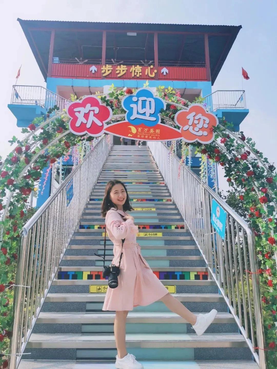 南沙葵园花海景区,广州南沙万顷葵园最佳旅游时间