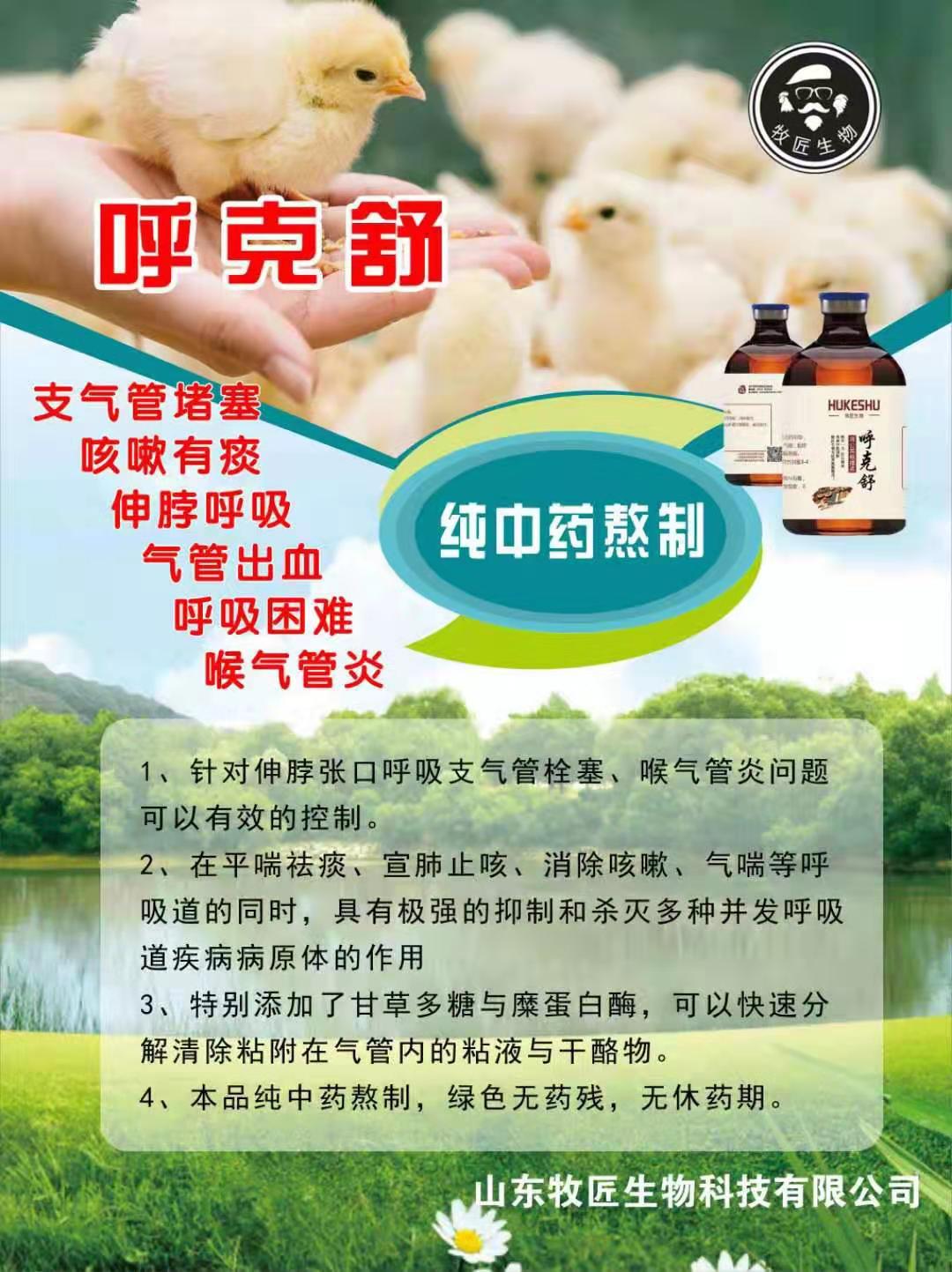 支气管堵塞怎么治疗最好,治支气管堵塞的药