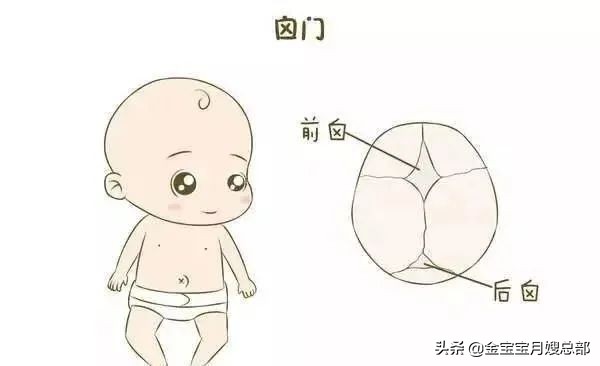 新生儿一月生长发育对照表,新生儿的头颅多久会发育好