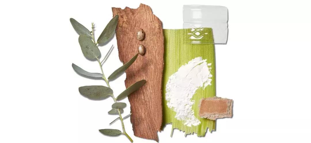 世界上最舒服鞋子,allbirds是什么品牌的鞋