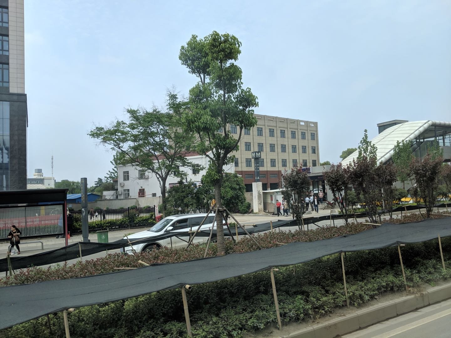 真香预警！不限购+低单价，投资新洲必看项目之一