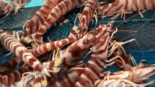 海蓝媲美三亚，福建这个被低估的宝藏地，夏天去太舒服了