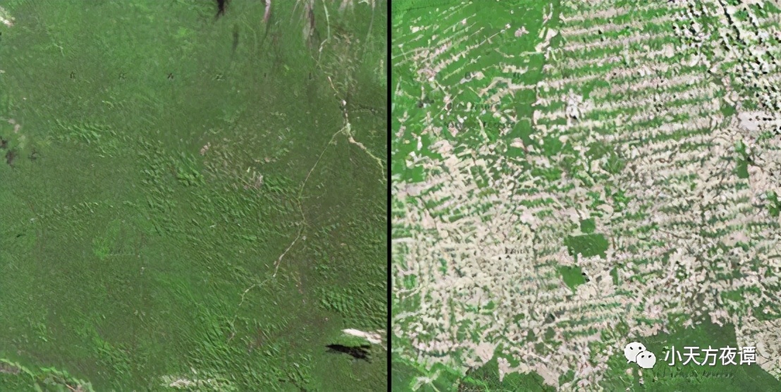 保护环境让地球变得怎么样,保护环境保护地球就是保护人类