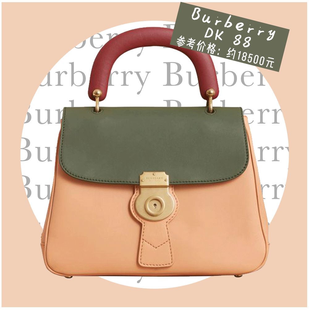 除了苏家和凌家还有什么家,除了苏家还有哪个家族